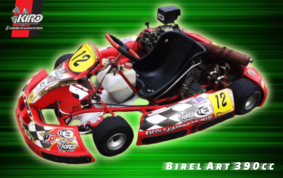 200cc 4 tempos adulto de alta velocidade / Go Kart Racing Kart